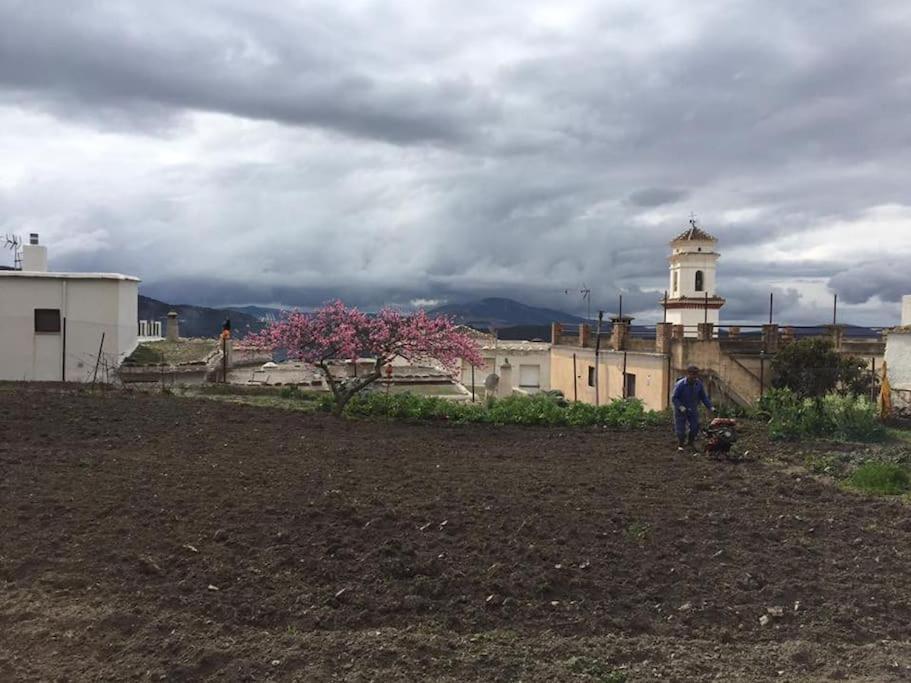 La Casa Rural De Paco Y Ana Pitres Eksteriør bilde