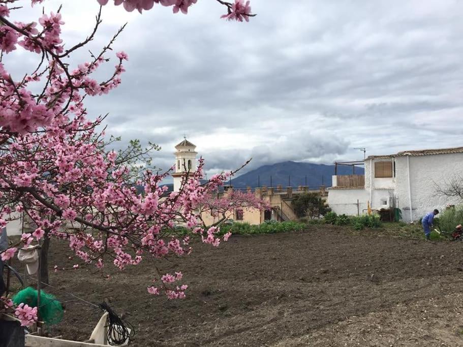 La Casa Rural De Paco Y Ana Pitres Eksteriør bilde