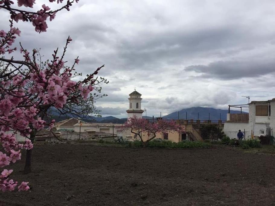 La Casa Rural De Paco Y Ana Pitres Eksteriør bilde