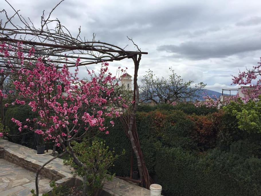 La Casa Rural De Paco Y Ana Pitres Eksteriør bilde